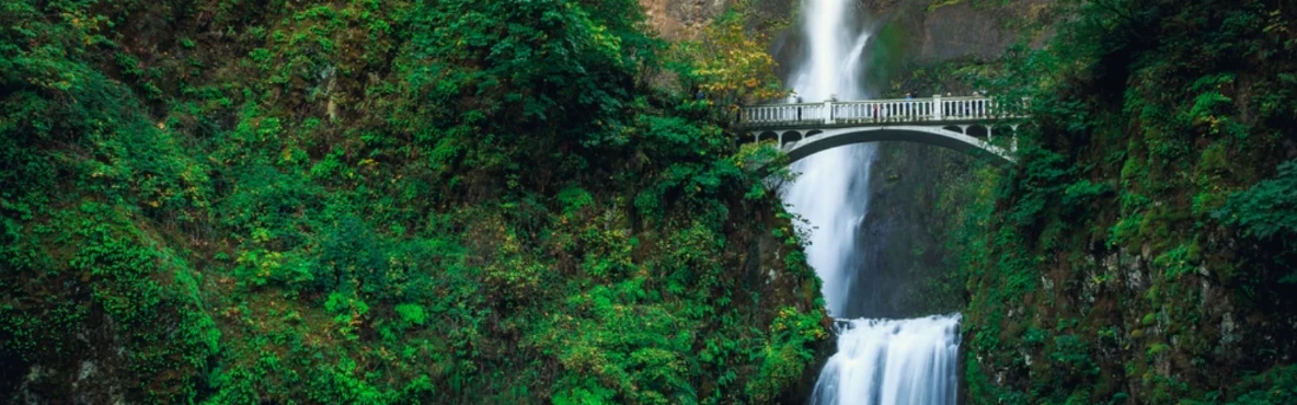 10 Best Trails in Hood River