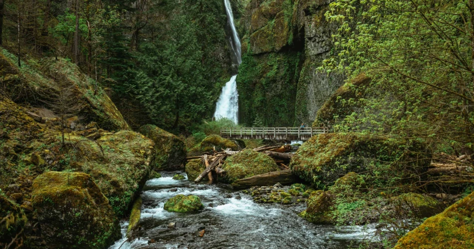 20 Incredible Things to Do in Hood River, Oregon