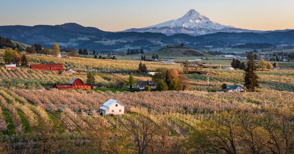 20 Incredible Things to Do in Hood River, Oregon