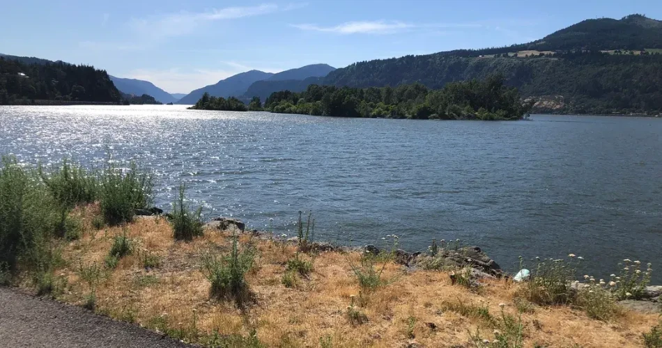 20 Incredible Things to Do in Hood River, Oregon