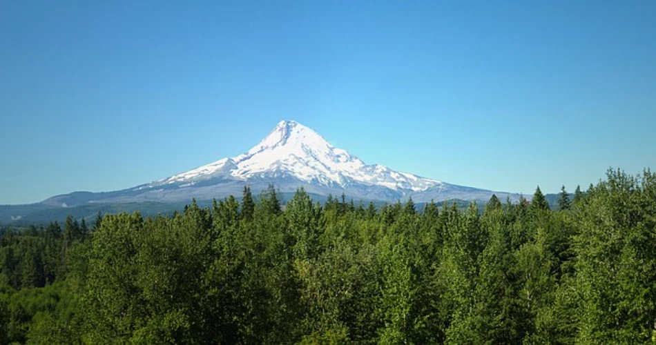 10 Best Stops: Portland to Hood River Road Trip
