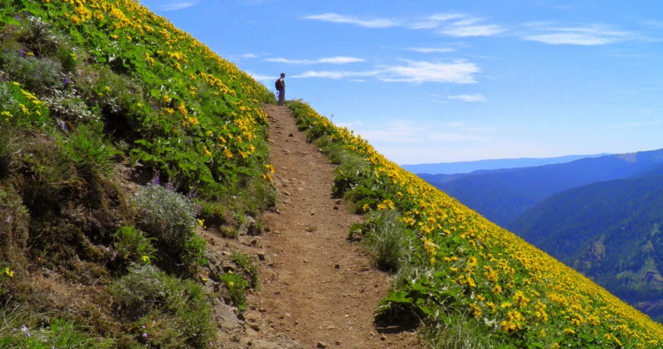 10 Best Trails in Hood River