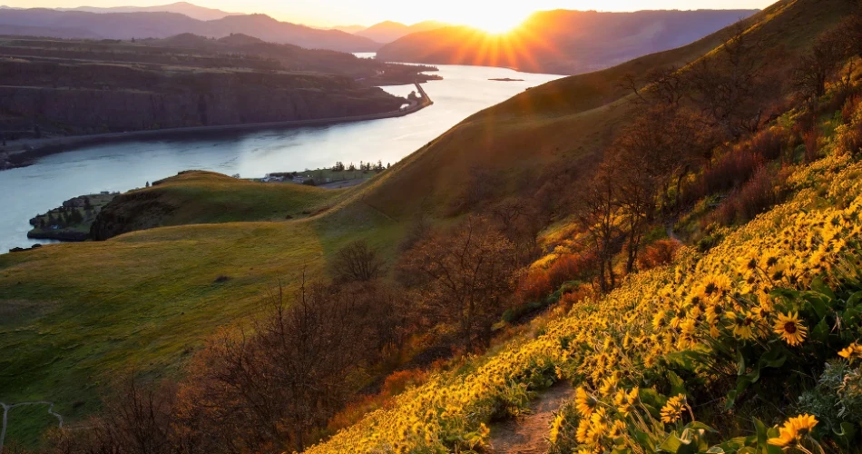10 Best Trails in Hood River