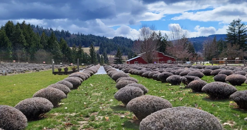 What to Do in Hood River: A Complete Travel Guide