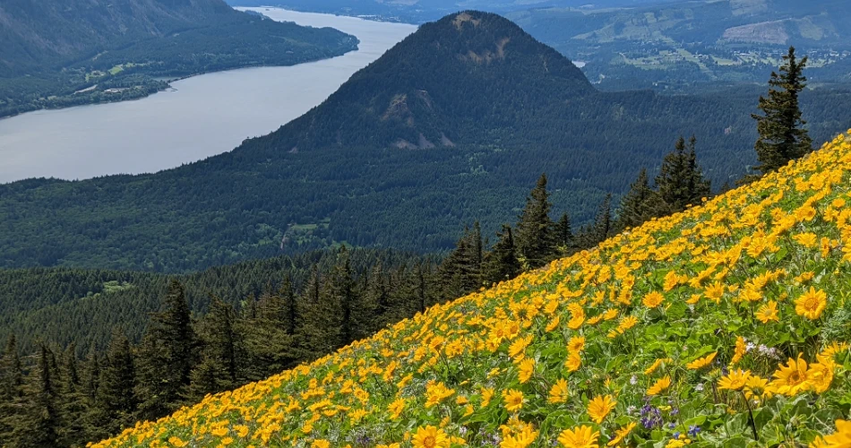 What to Do in Hood River: A Complete Travel Guide