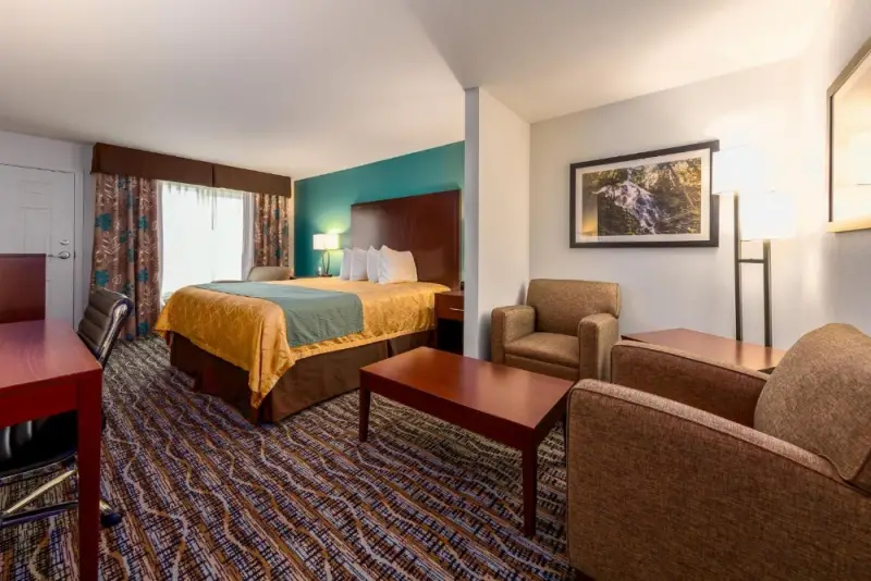 King Suite - Not Pet Friendly